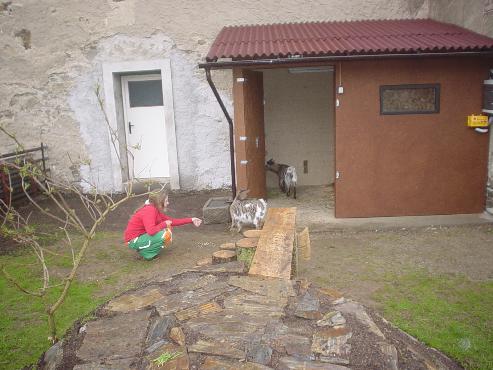 DSC00124.JPG