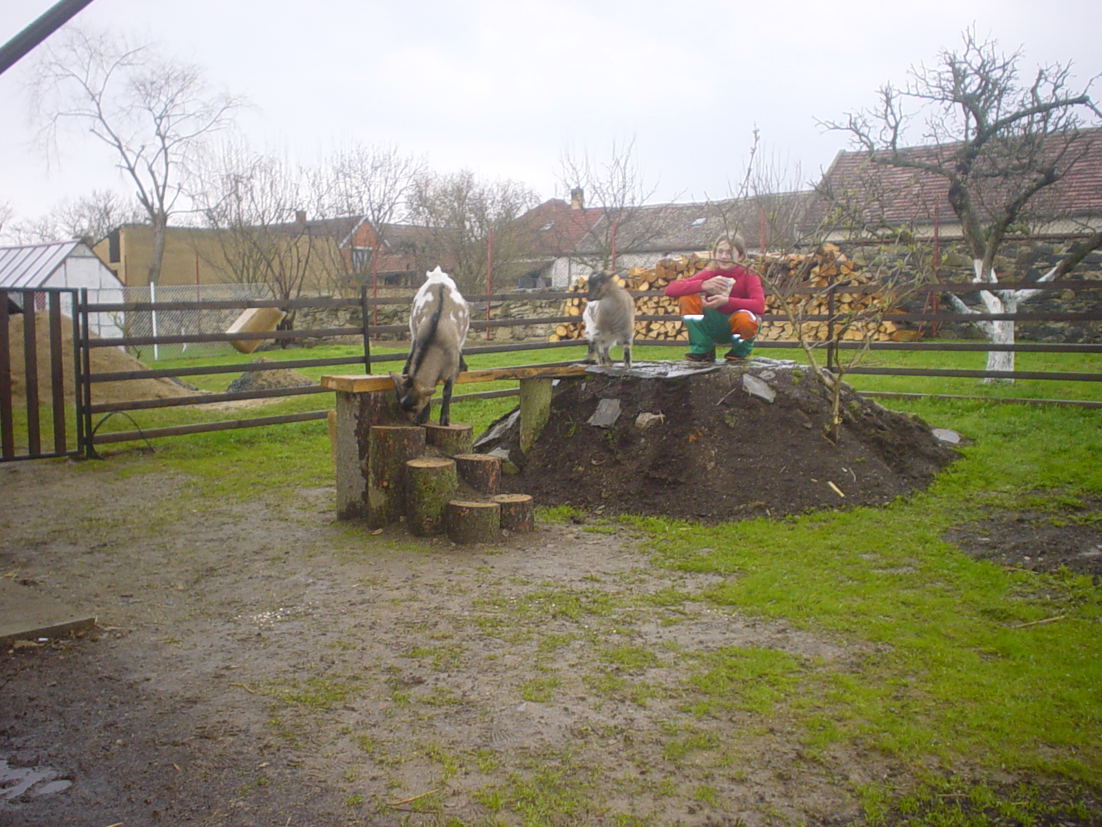 DSC00130.JPG