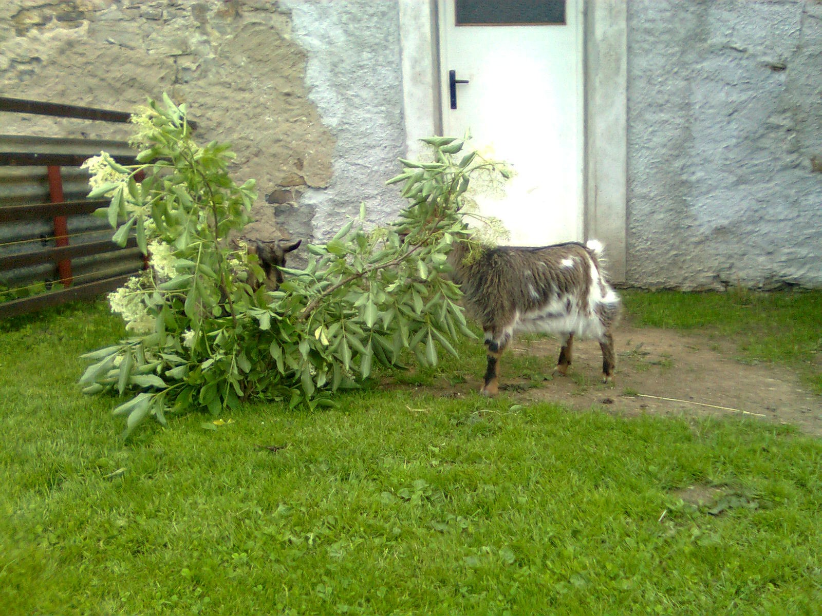 Obraz0015.jpg