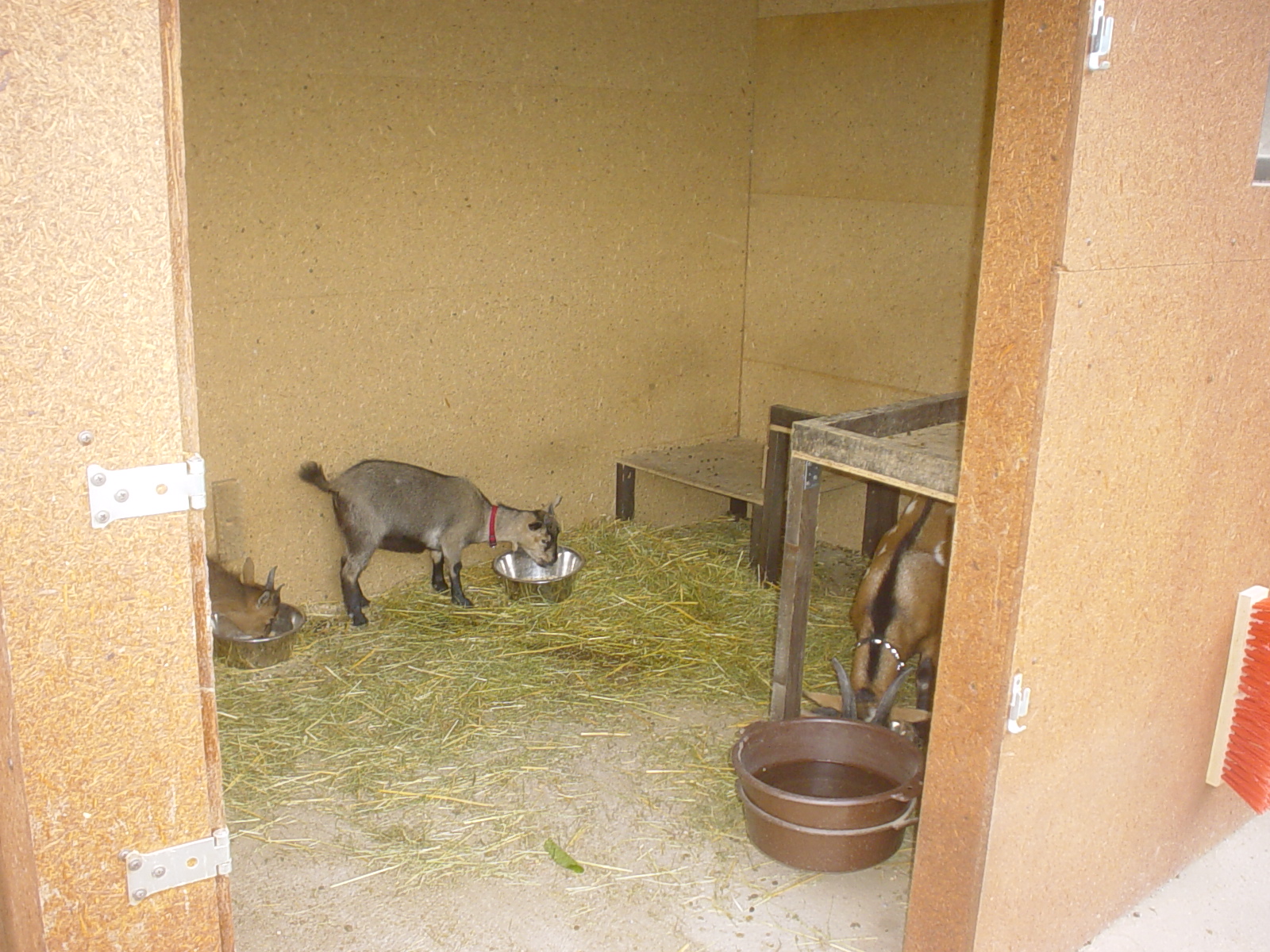 DSC00256.JPG