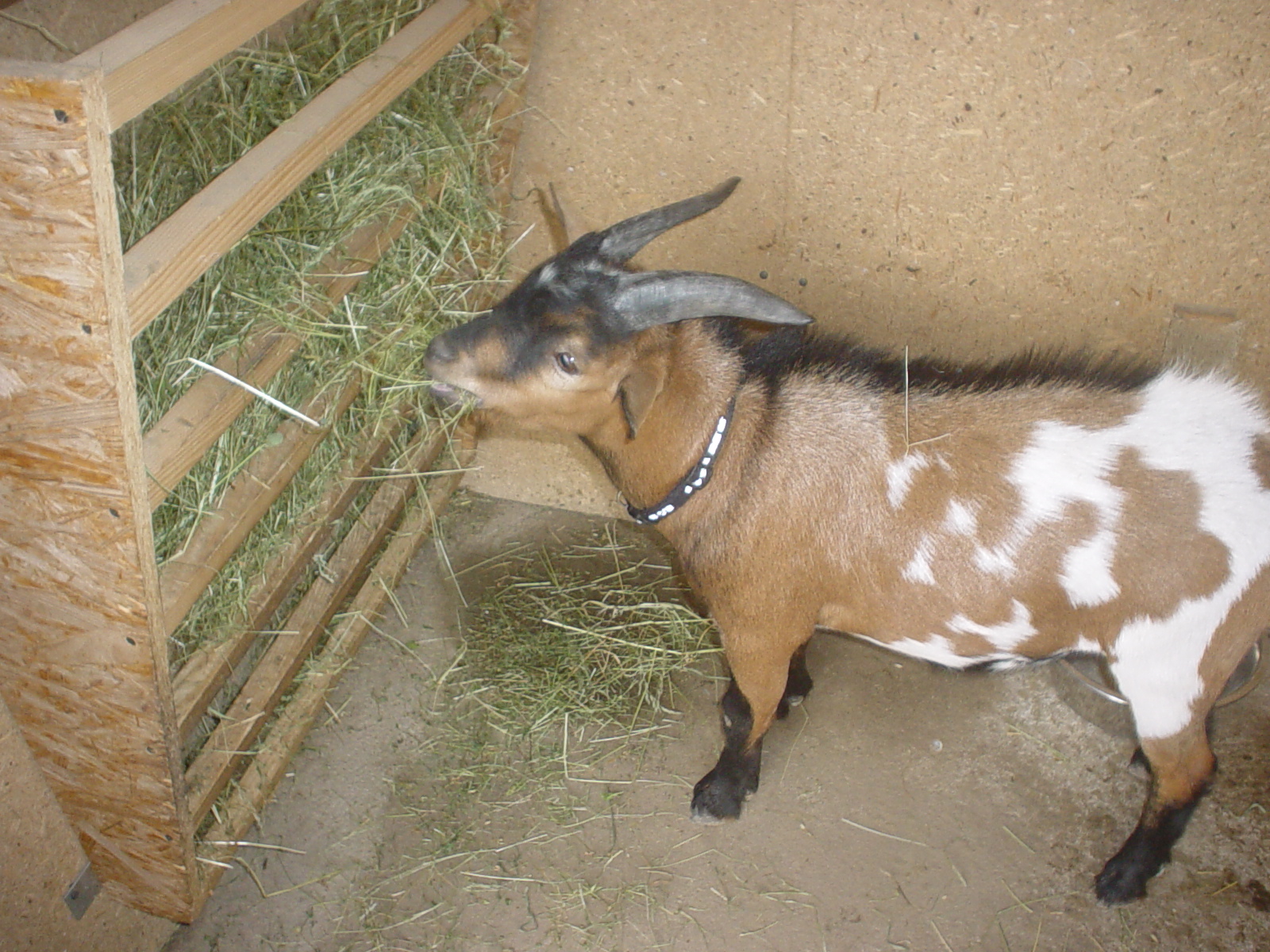 DSC00272.JPG